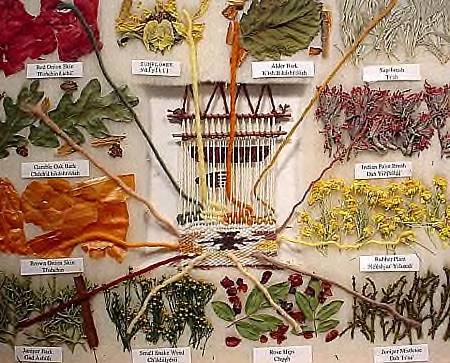 12-plant dye chart for Navajo rugs